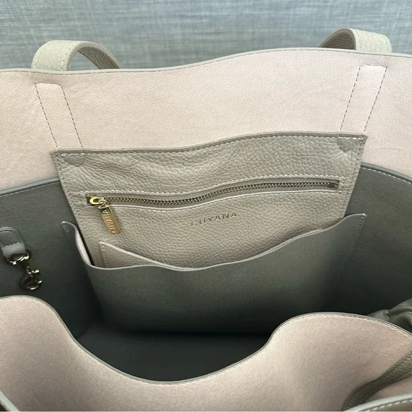 Cuyana Structured Tote with organization insert